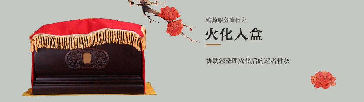 專業(yè)指導(dǎo)