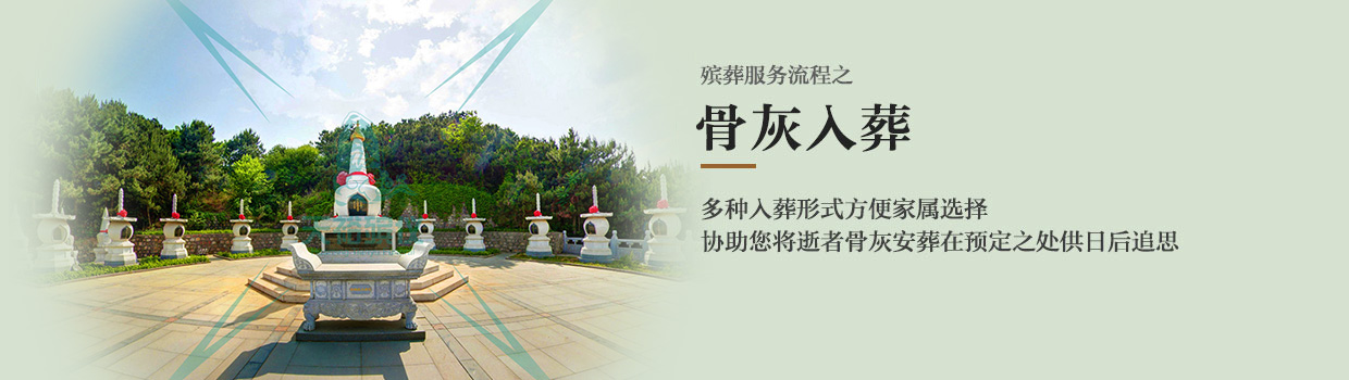 專業(yè)指導