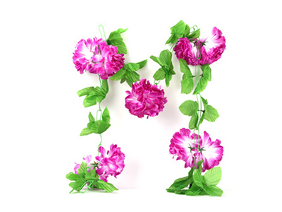 大號拉花（10朵）